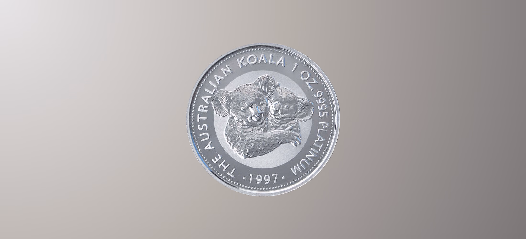 Platina Koala