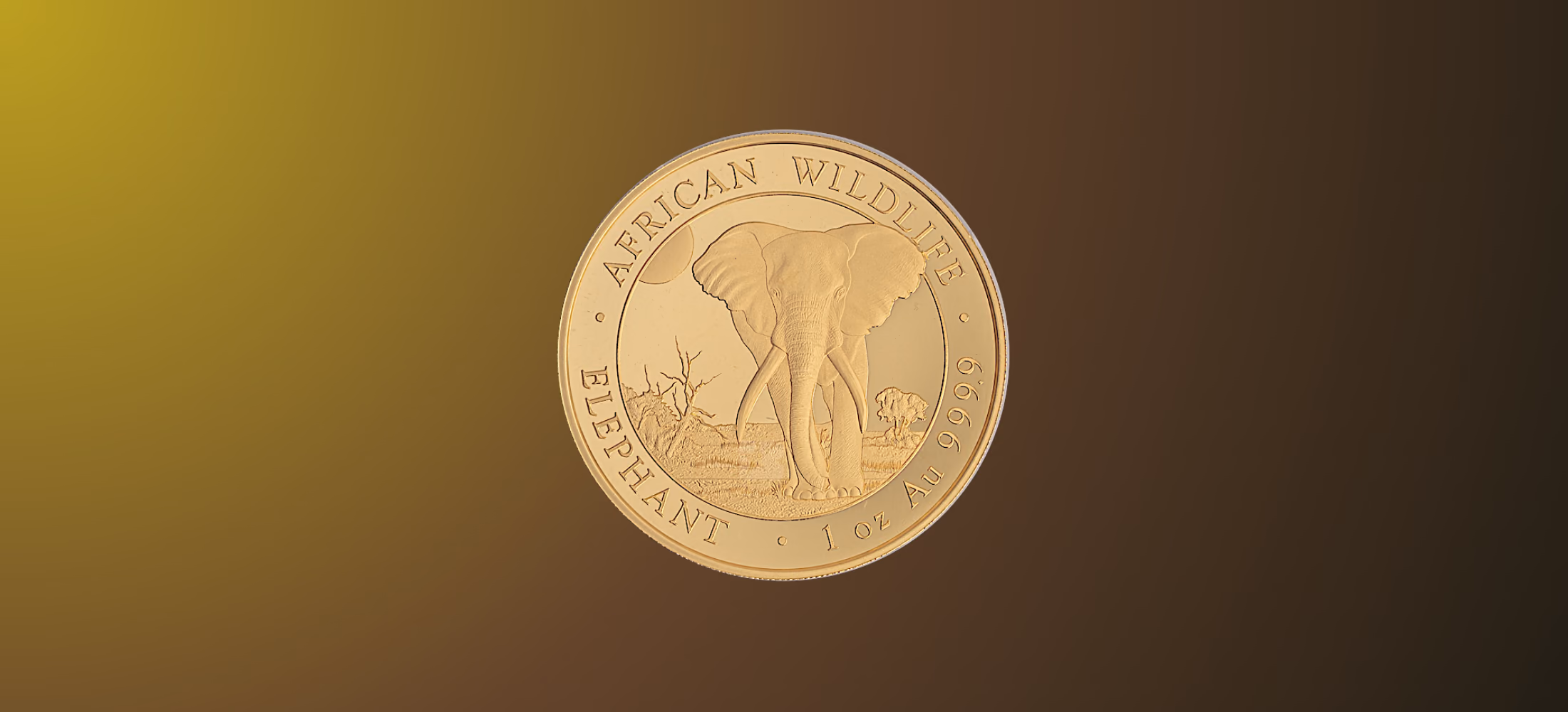 Somalische Olifant
