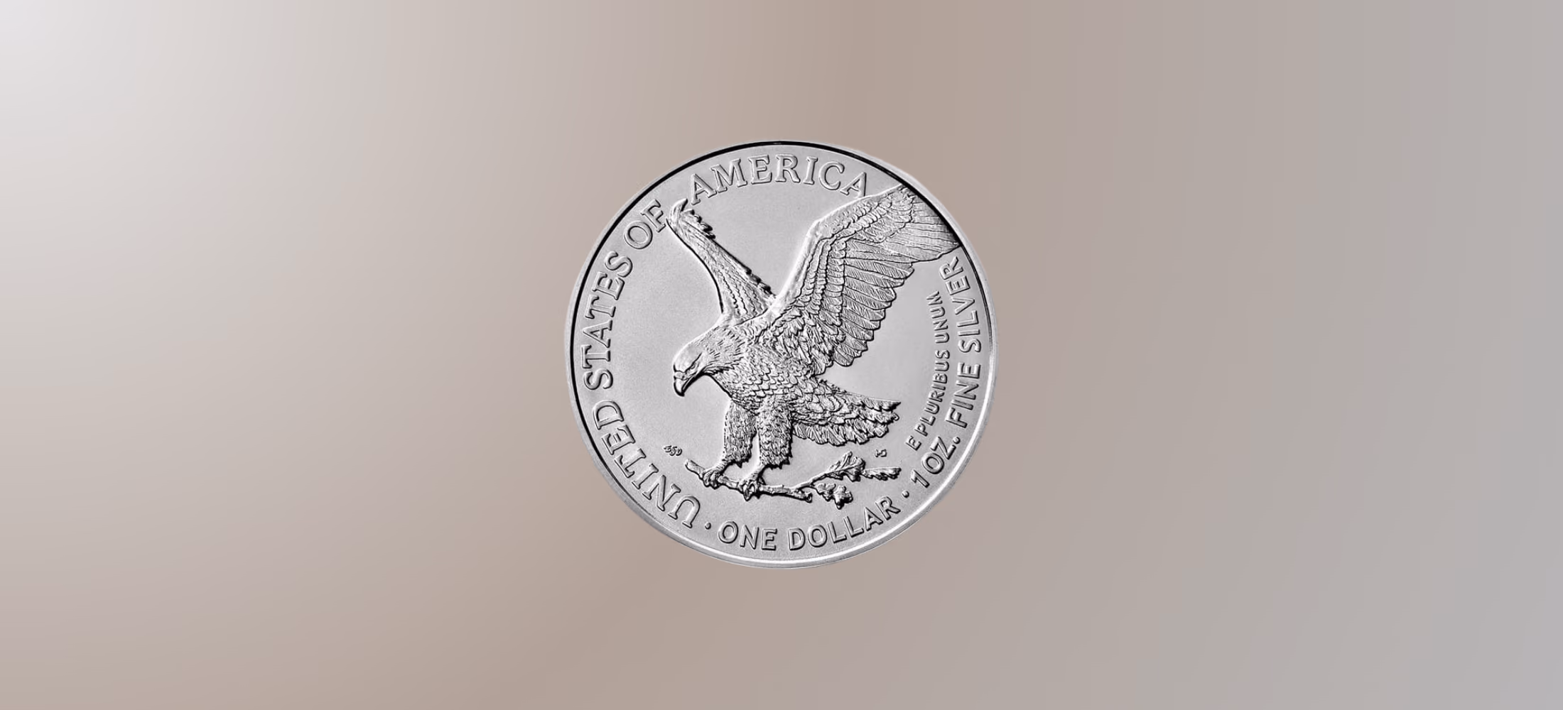 Zilveren American Eagle
